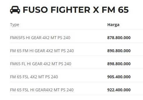 type fighter x fm 65